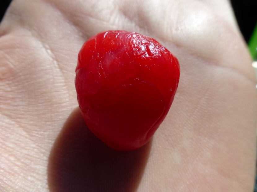 Shaped Babybel cheese's wax into an anatomical heart because the common known heartshape is too mainstream